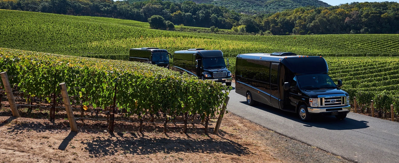    Wine Tours Services With Limo in Apple Valley, MN